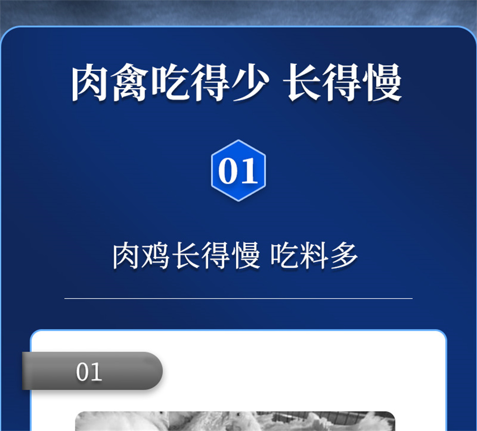 188金宝搏安卓下载动保禽饲料添加剂禽肽重产品介绍