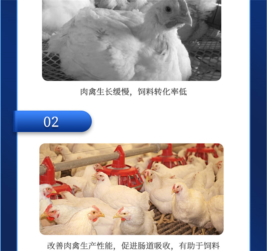 188金宝搏安卓下载动保禽饲料添加剂禽肽重产品介绍