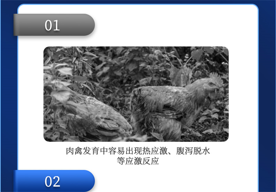 188金宝搏安卓下载动保禽饲料添加剂禽肽重产品介绍