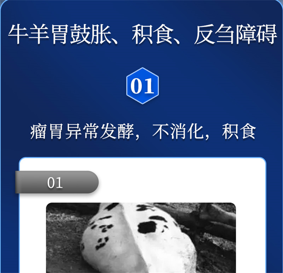 188金宝搏安卓下载动保牛羊饲料添加剂胃兴plus产品介绍