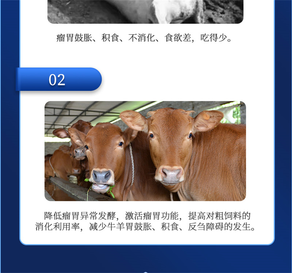 188金宝搏安卓下载动保牛羊饲料添加剂胃兴plus产品介绍