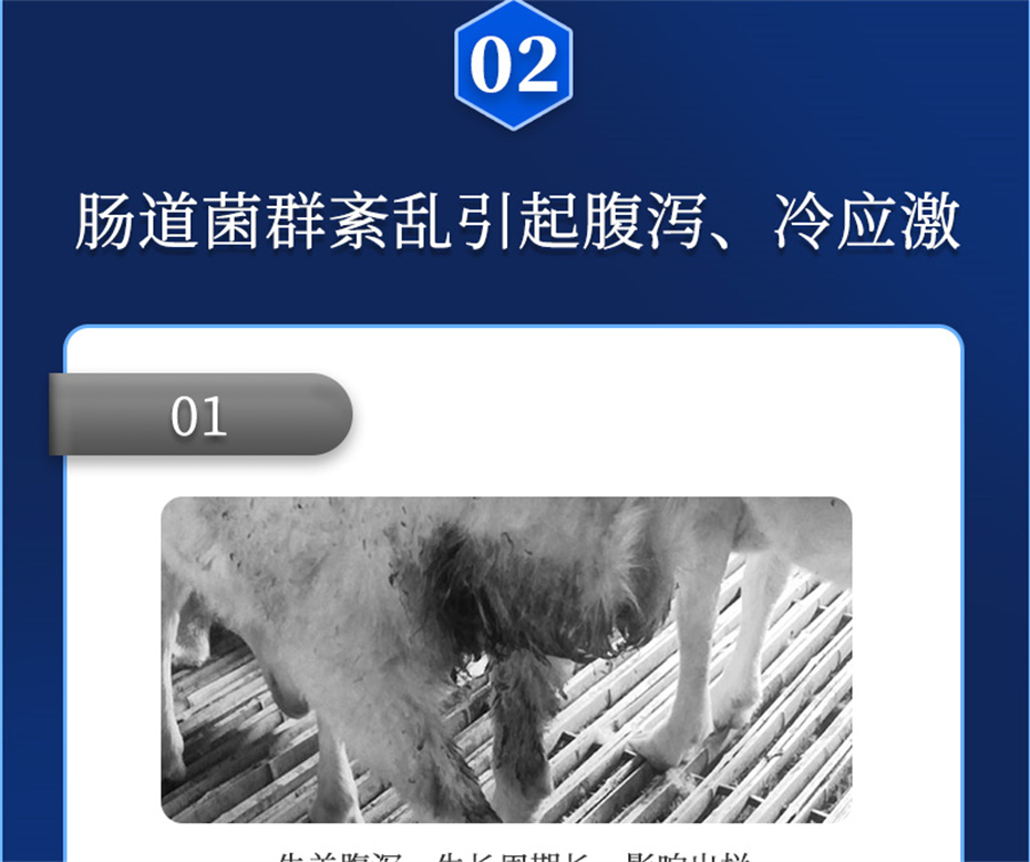 188金宝搏安卓下载动保牛羊饲料添加剂胃兴plus产品介绍