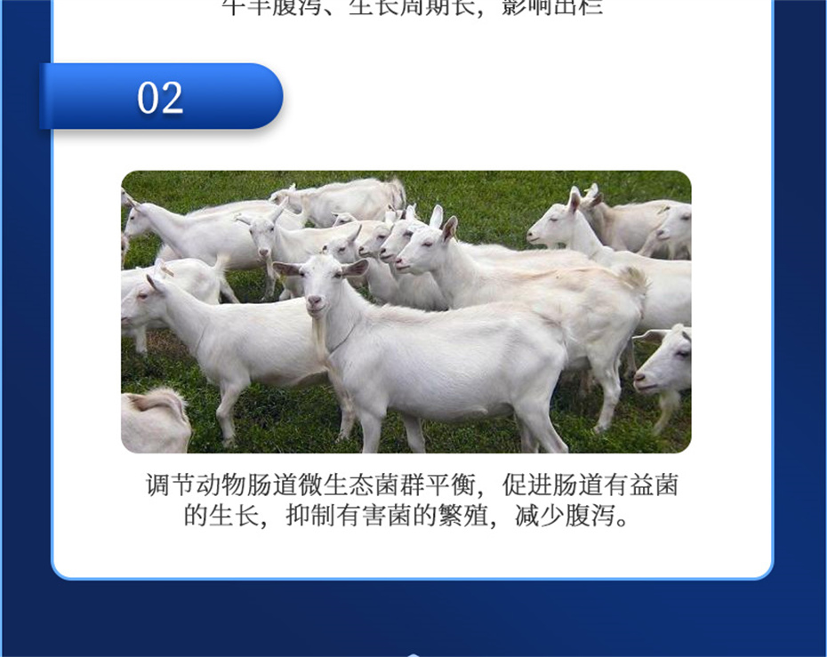 188金宝搏安卓下载动保牛羊饲料添加剂胃兴plus产品介绍