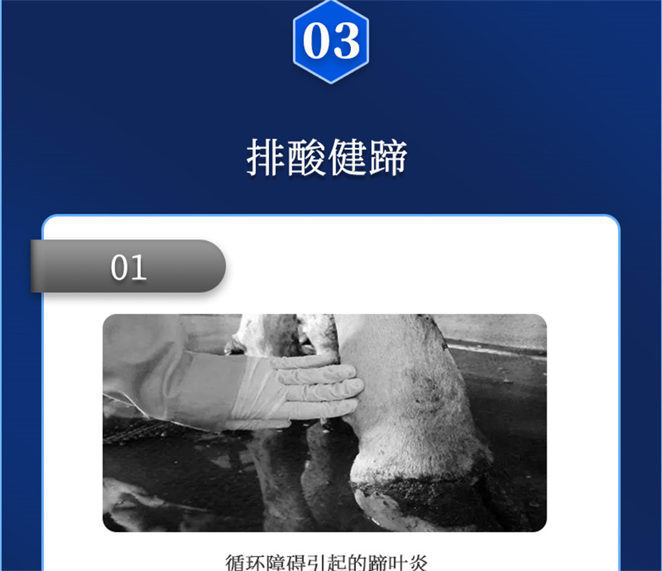 188金宝搏安卓下载动保牛羊饲料添加剂胃兴plus产品介绍