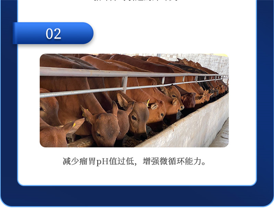 188金宝搏安卓下载动保牛羊饲料添加剂胃兴plus产品介绍