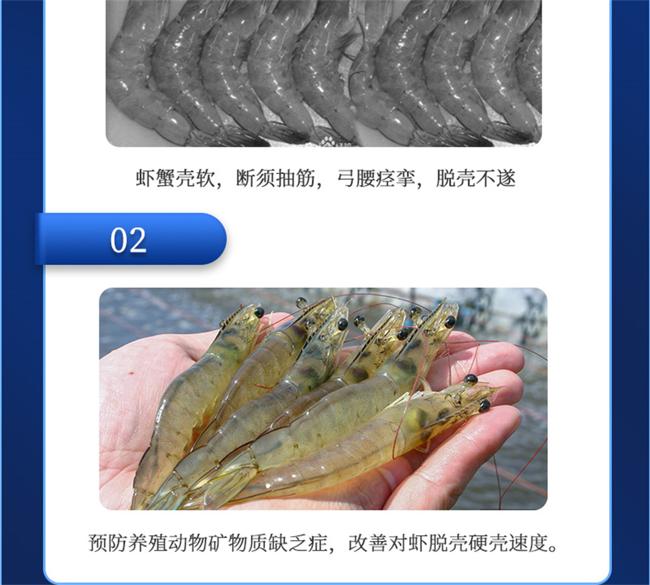 188金宝搏安卓下载动保水产饲料添加剂速补微s+产品介绍