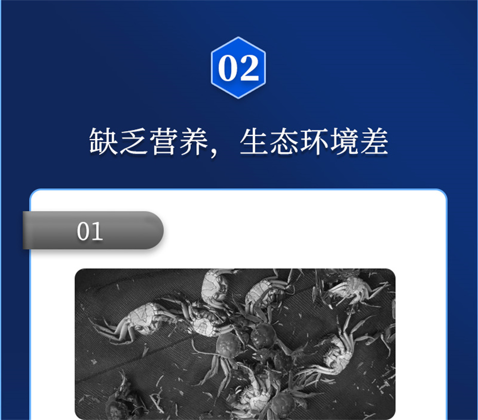 188金宝搏安卓下载动保水产饲料添加剂速补微s+产品介绍