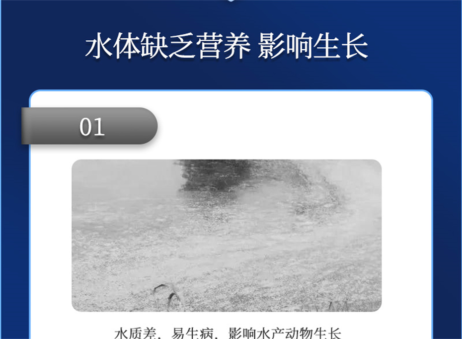 188金宝搏安卓下载动保水产饲料添加剂速补微s+产品介绍