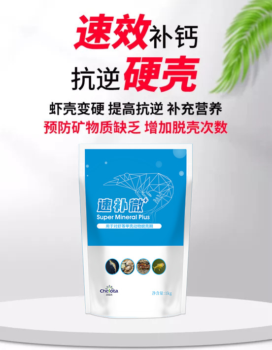 188金宝搏安卓下载速补微+