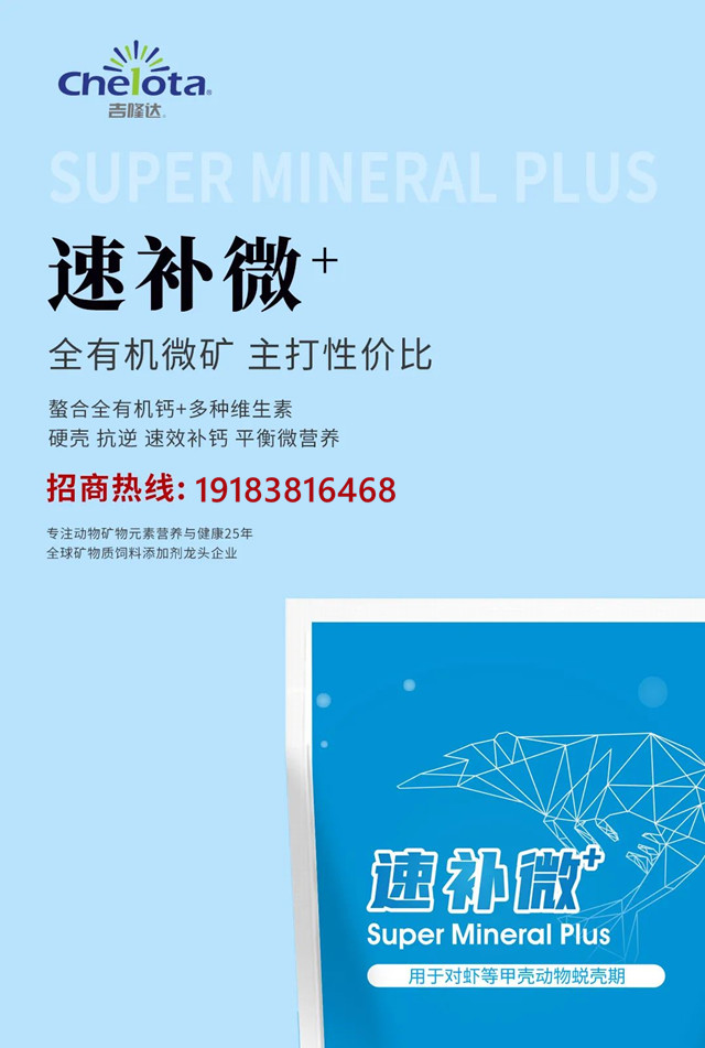 188金宝搏安卓下载速补微+招商