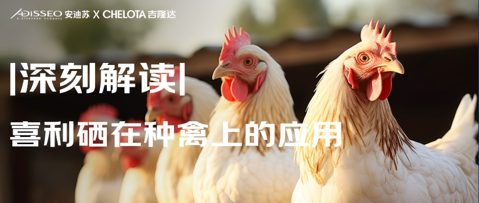 2025.03.27推文封面