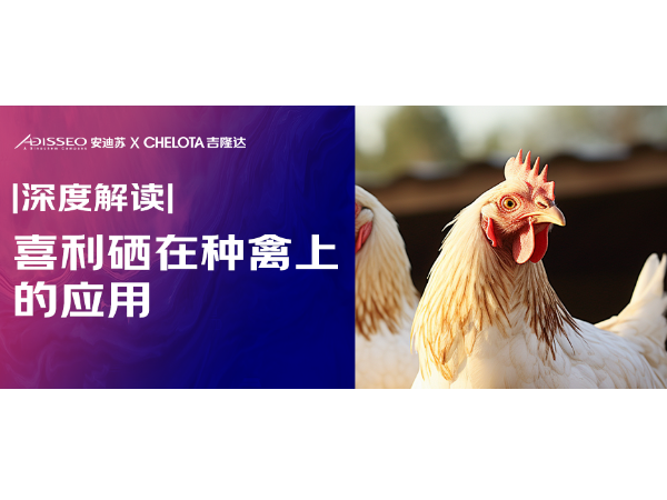 深度解读 |「喜利硒」羟基硒代蛋氨酸在种禽上的应用