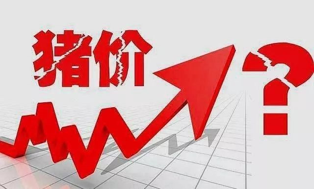 188金宝搏安卓下载