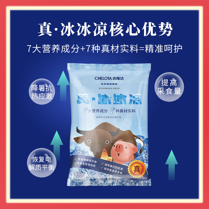 188金宝搏安卓下载动保冰冰凉